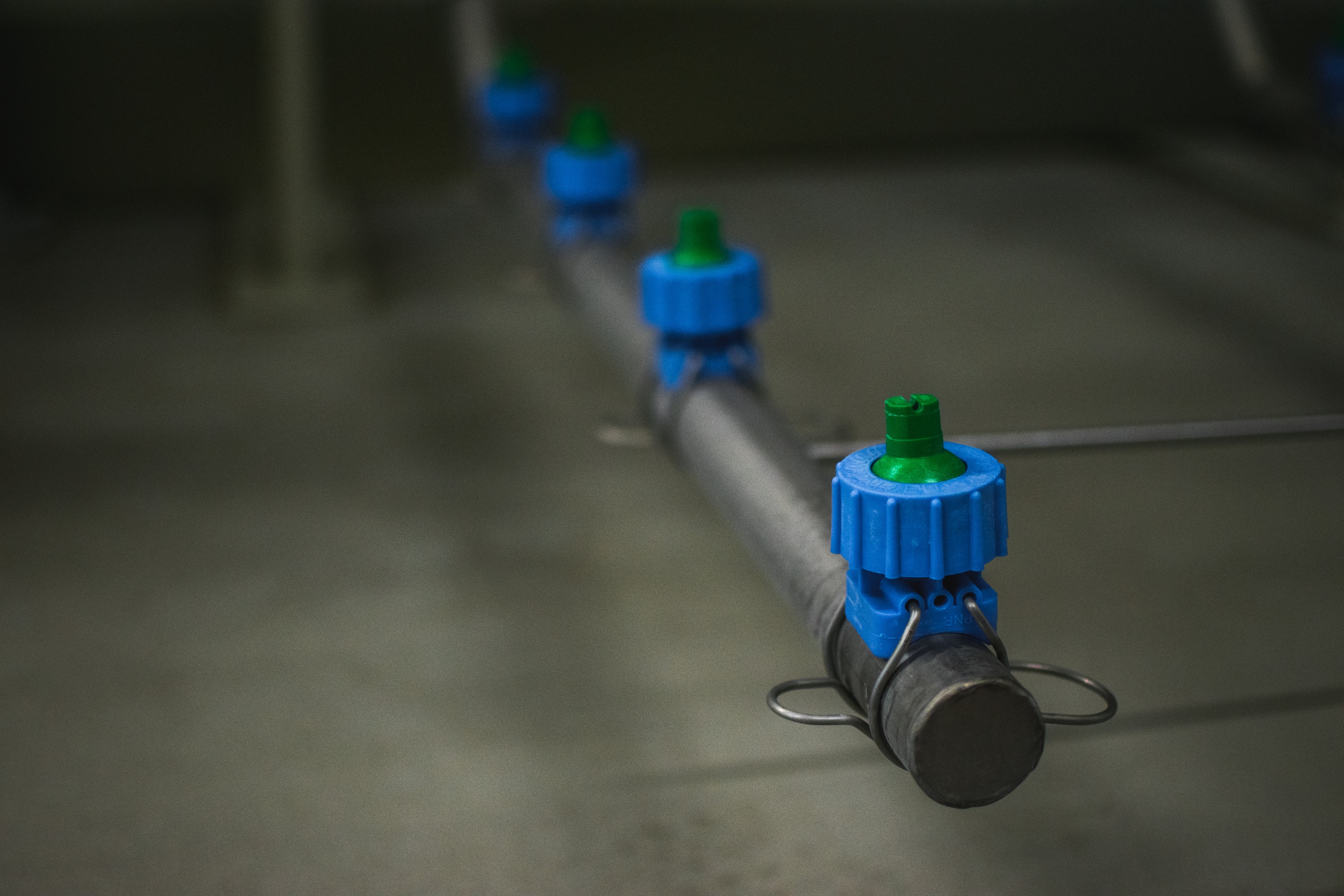 Komplett előkezelő és festősor Mezőberényben